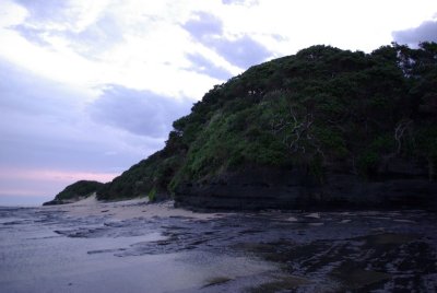 dwesat054.jpg