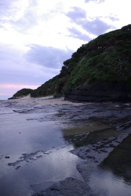 dwesat055.jpg