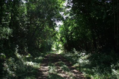 dwesat070.jpg