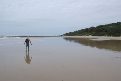 dwesat081.jpg