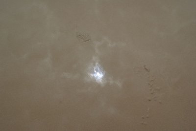dwesat082.jpg