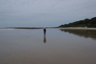 dwesat083.jpg