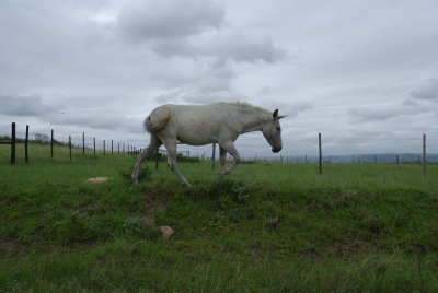 dwesat090.jpg