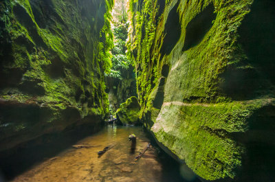 Claustral Canyon 