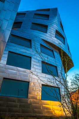 Lou Ruvo Center for Brain Health