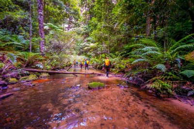 Claustral - Canyoning Paradise