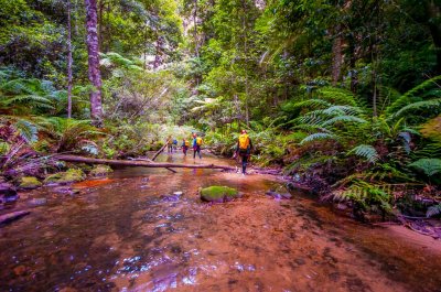 Claustral Canyon