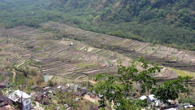 Inde 2013-3 1226.jpg