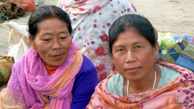 Inde 2013-3 1264.jpg