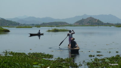 Inde 2013-3 1276.jpg