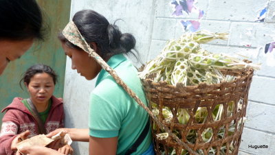 Inde 2013-3 1294.jpg