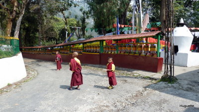 Inde 2013-3 162.JPG