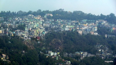 Inde 2013-3 176.JPG