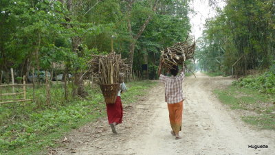 Inde 2013-3 536.JPG