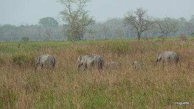 Inde 2013-3 562.JPG