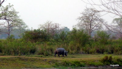 Inde 2013-3 630.jpg