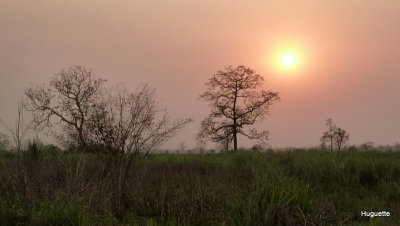 Inde 2013-3 656.jpg