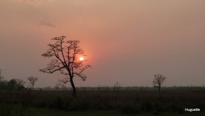 Inde 2013-3 664.jpg
