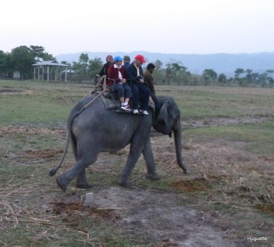 Inde 2013-3 666.jpg