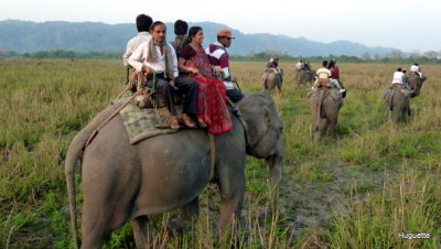 Inde 2013-3 736.jpg