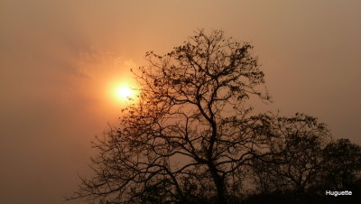 Inde 2013-3 843.jpg