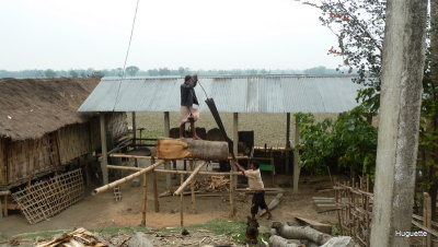 Inde 2013-3 902.jpg