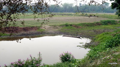 Inde 2013-3 980.jpg
