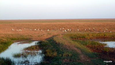 P1030476.JPG