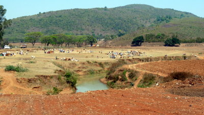 P1030354.JPG