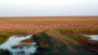 P1030476.JPG