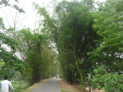 P1150487.JPG