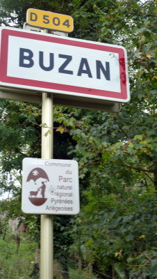 Buzan