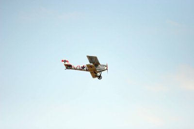 IMG_3559.JPG