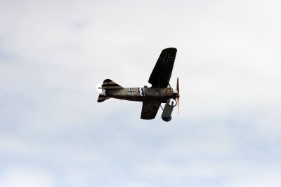 IMG_3590.JPG