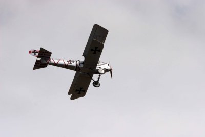 IMG_3593.JPG