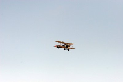 IMG_3675.JPG