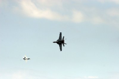 IMG_3755.JPG