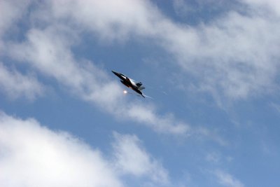 IMG_3811.JPG