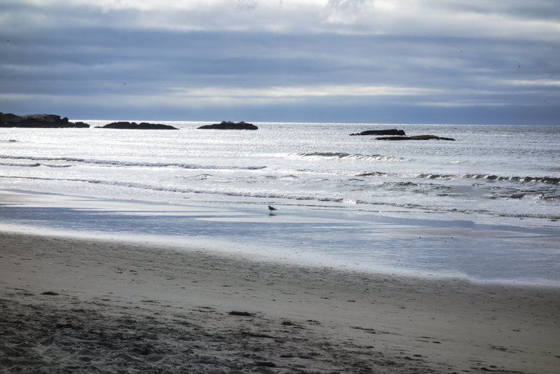 Narragansett Town Beach