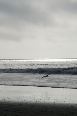 Narragansett Town Beach