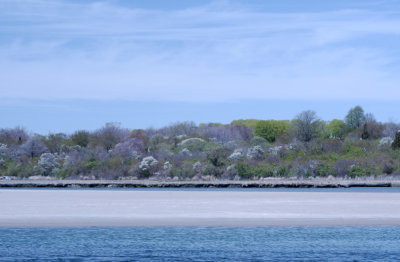 Narrow River in Spring, Narragansett