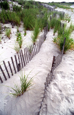 Narragansett Town Beach II