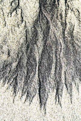 Pfeiffer Beach, Big Sur _DSC0083.jpg