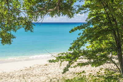 Spratt Hall Beach, St. Croix