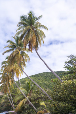 Myett's Beach - Tortola