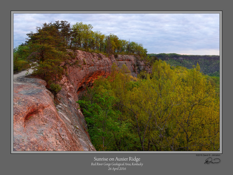 Sunrise on Auxier Ridge.jpg