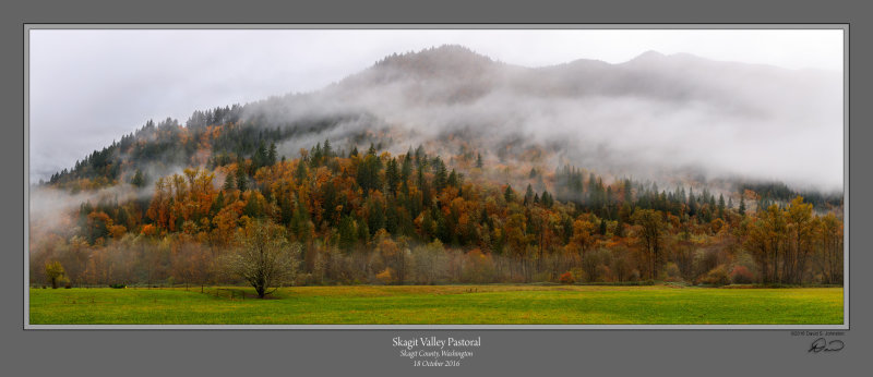 Skagit Valley Pastoral.jpg