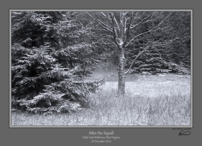 After Squall 2 Dolly Sods.jpg