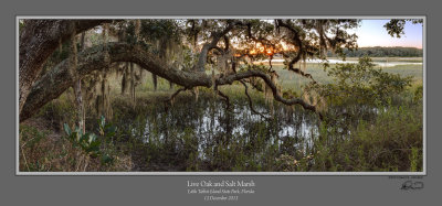 Live Oak Salt Marsh.jpg