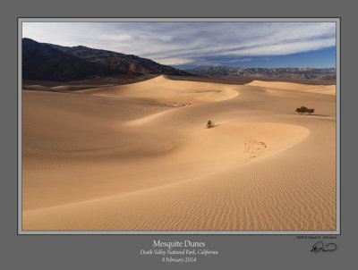 Mesquite Dunes 1.jpg